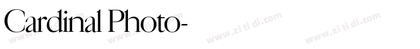 Cardinal Photo字体转换 Cardinal Photo字体转换